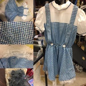 Dorothy dress and Toto